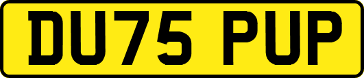 DU75PUP