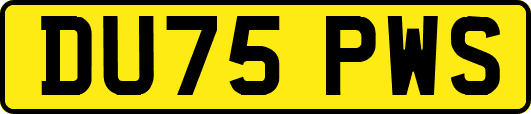 DU75PWS