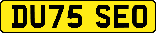 DU75SEO