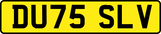 DU75SLV