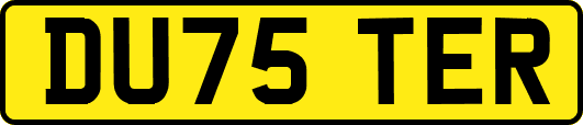 DU75TER