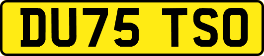 DU75TSO