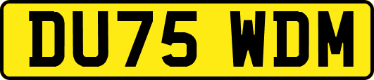 DU75WDM