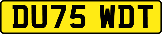 DU75WDT