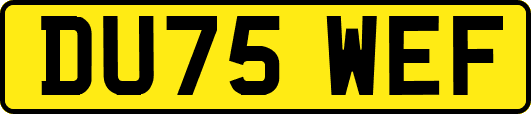 DU75WEF