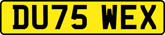 DU75WEX