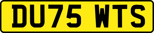DU75WTS