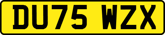 DU75WZX