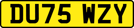 DU75WZY