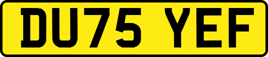 DU75YEF