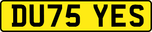 DU75YES