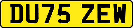 DU75ZEW