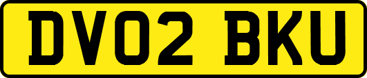 DV02BKU
