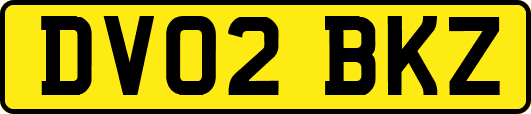 DV02BKZ