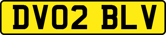 DV02BLV