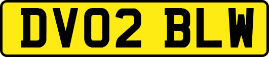DV02BLW