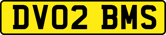 DV02BMS