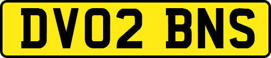 DV02BNS
