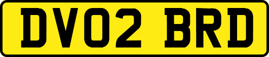 DV02BRD