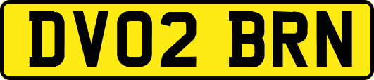 DV02BRN