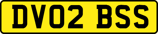 DV02BSS