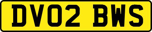 DV02BWS