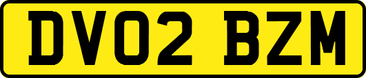 DV02BZM