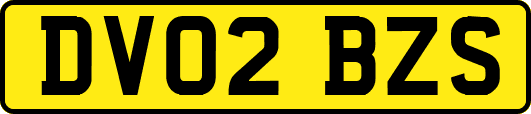DV02BZS