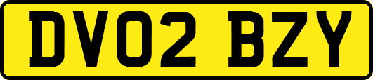 DV02BZY
