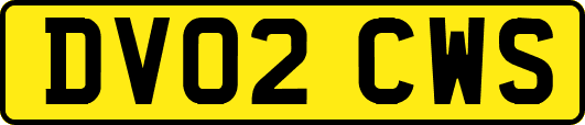 DV02CWS