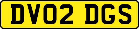 DV02DGS