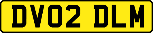 DV02DLM