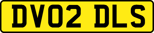 DV02DLS