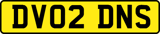 DV02DNS