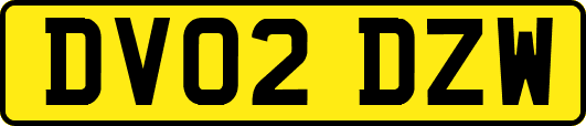 DV02DZW