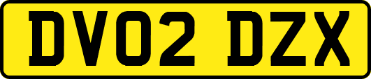 DV02DZX