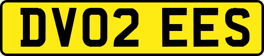 DV02EES