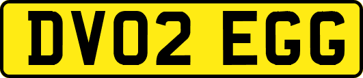 DV02EGG