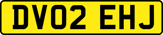 DV02EHJ