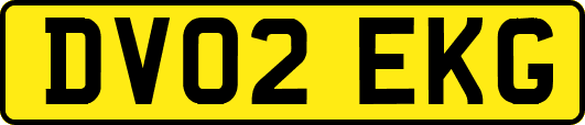 DV02EKG
