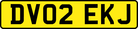 DV02EKJ