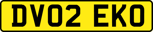 DV02EKO
