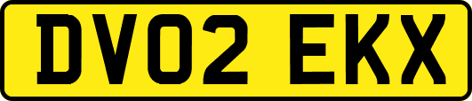 DV02EKX