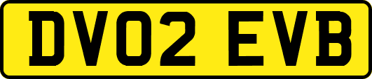 DV02EVB