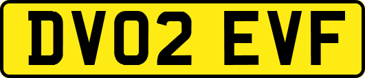 DV02EVF