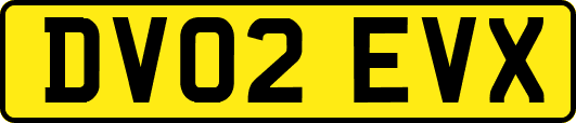 DV02EVX