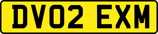 DV02EXM