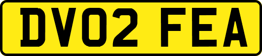 DV02FEA