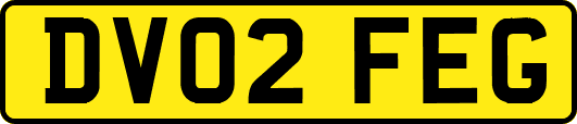 DV02FEG