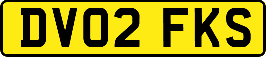 DV02FKS